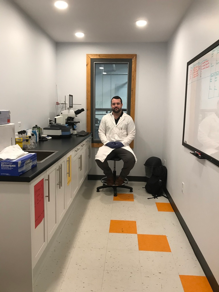 a-peek-into-the-grimross-laboratory