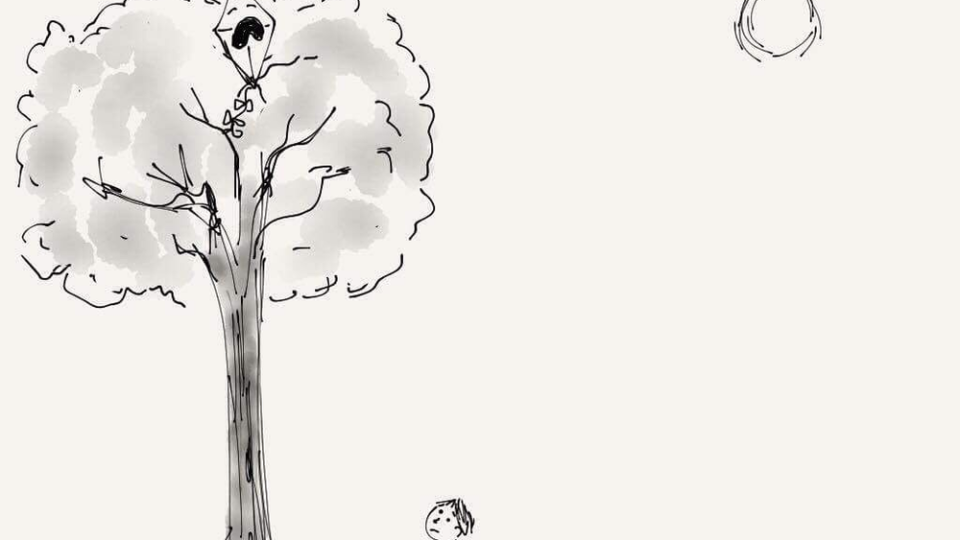 remember-the-kite-eating-tree?