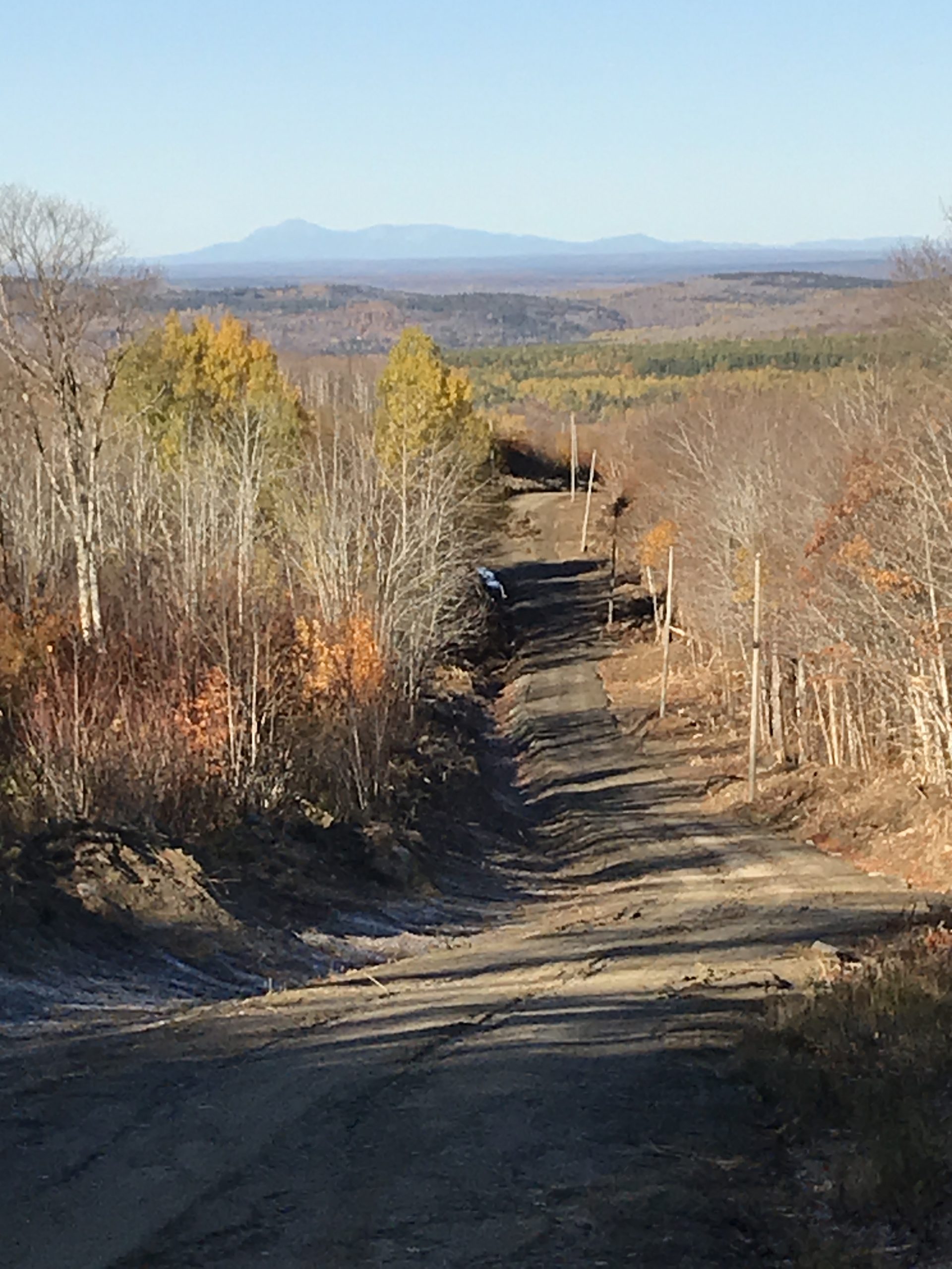Life happens on the back roads