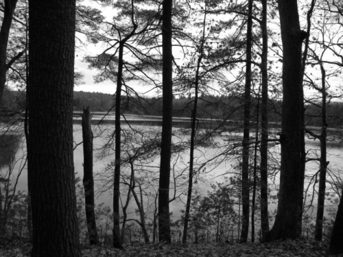 the-wisdom-of-thoreau