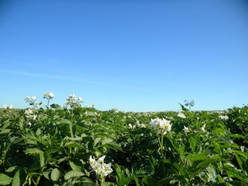 through-innovation,-the-sky’s-the-limit