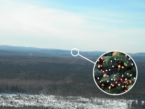 the-secret-trees-of-the-christmas-mountains