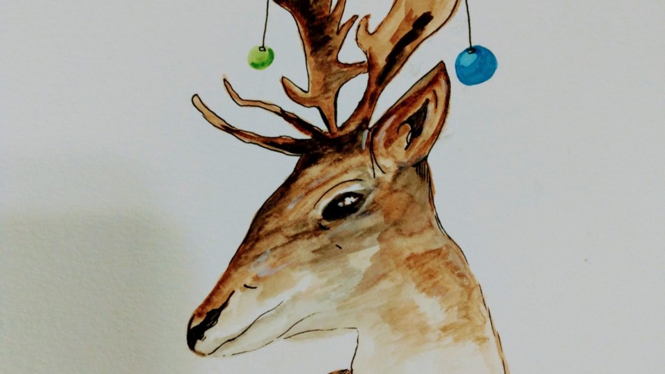 reindeer