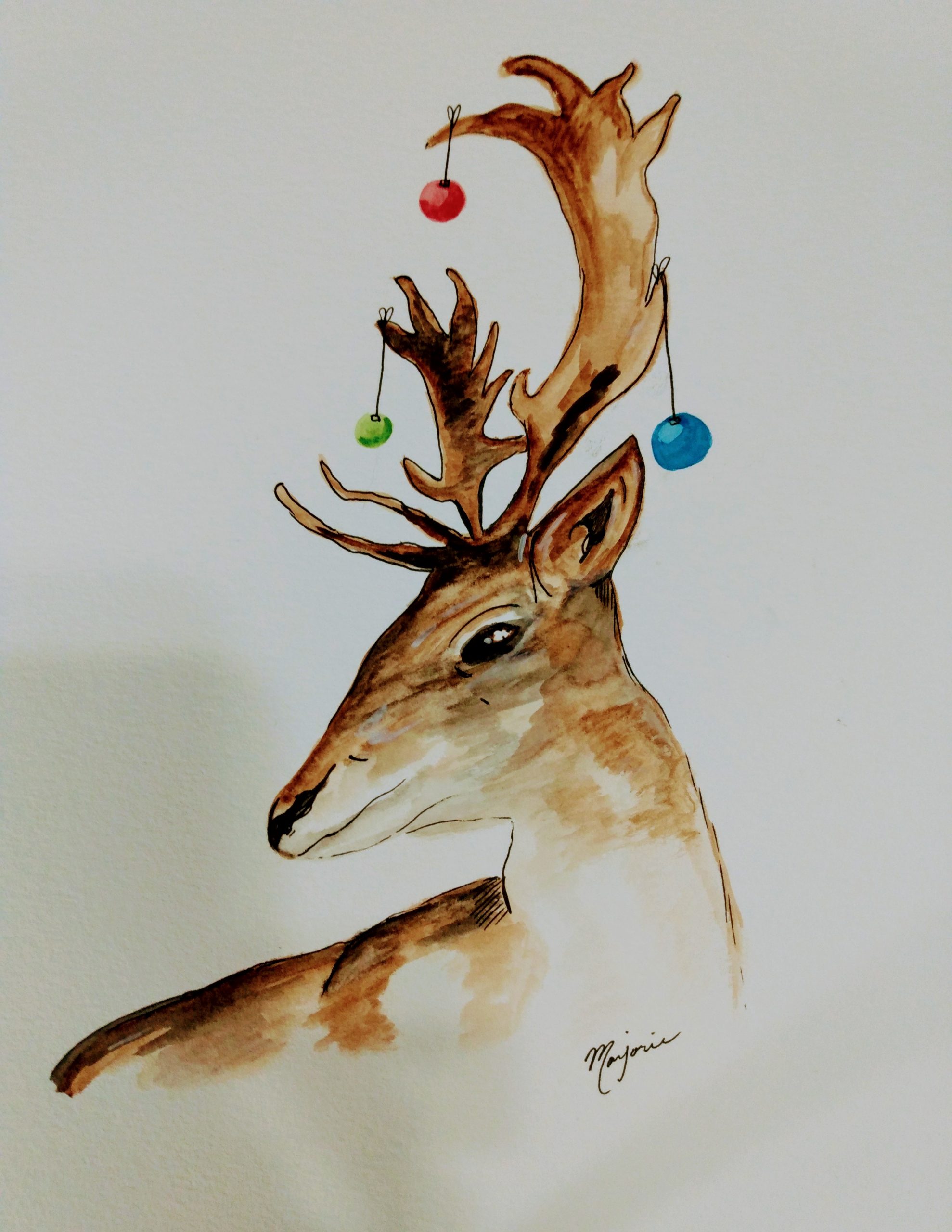 Reindeer