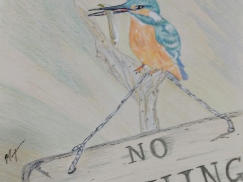 no-fishing