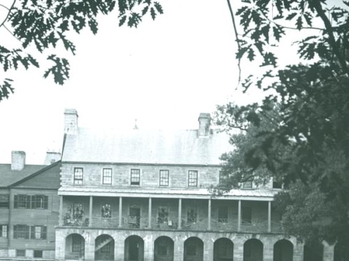 there’s-music-in-those-trees