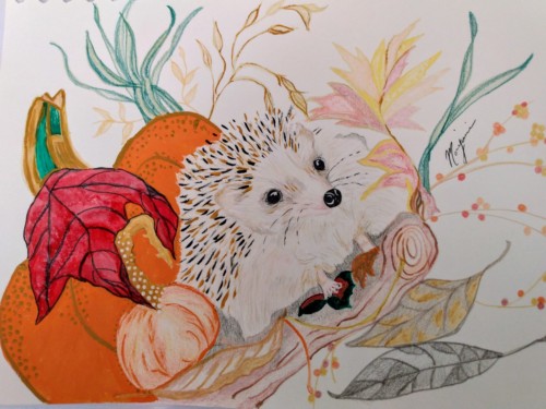 hedgehog
