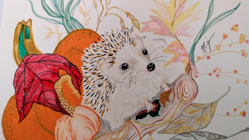 hedgehog