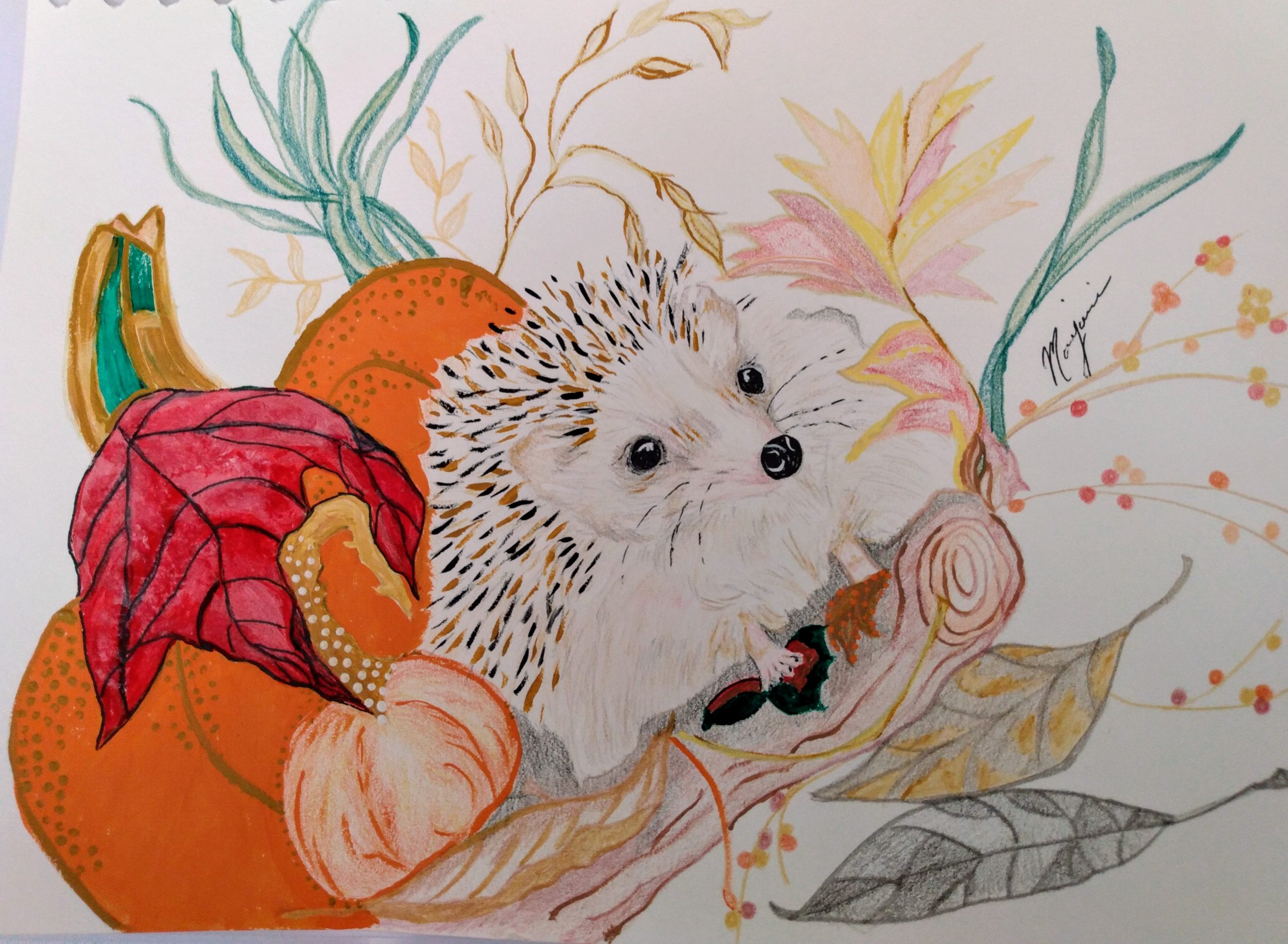 Hedgehog