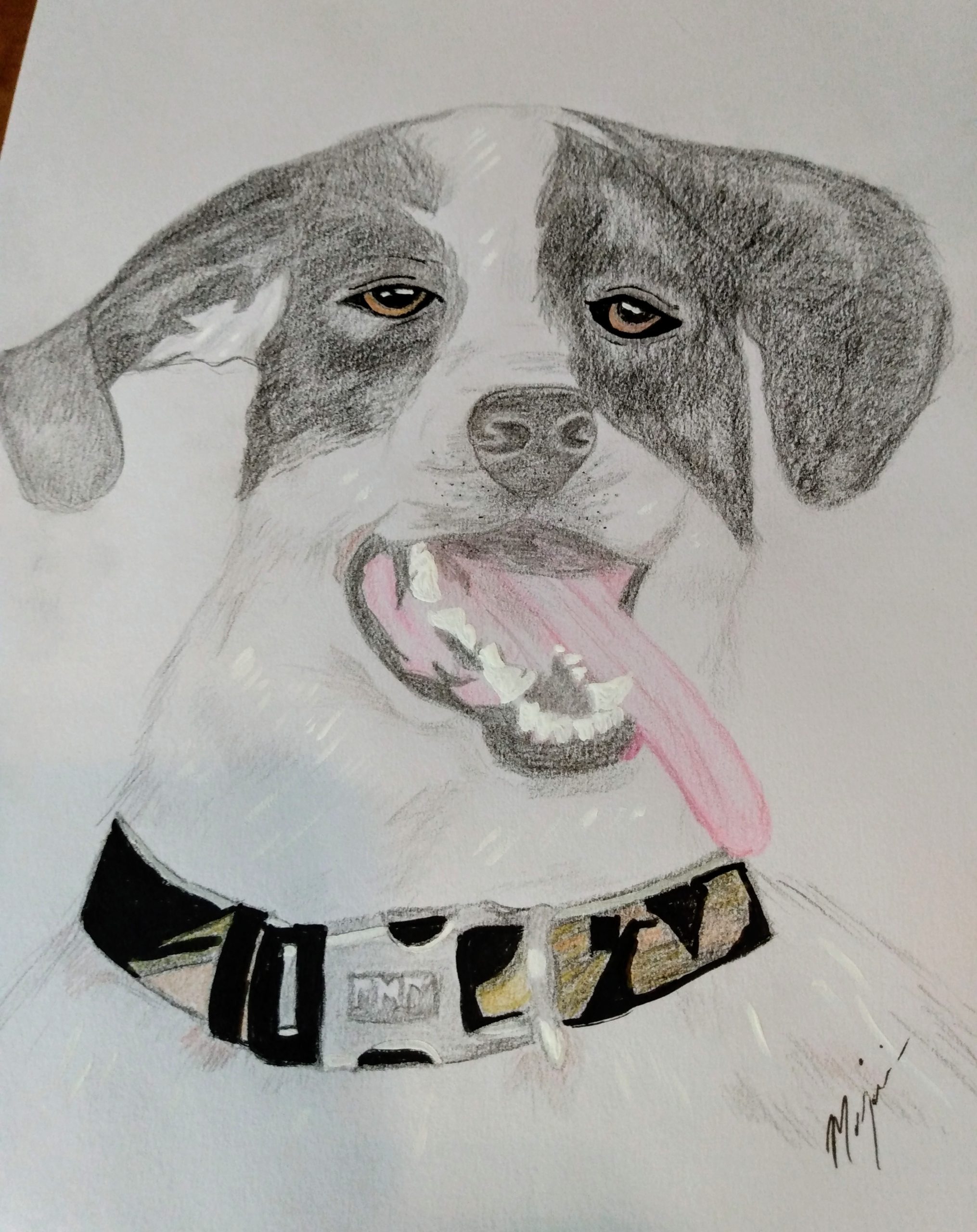 Dog