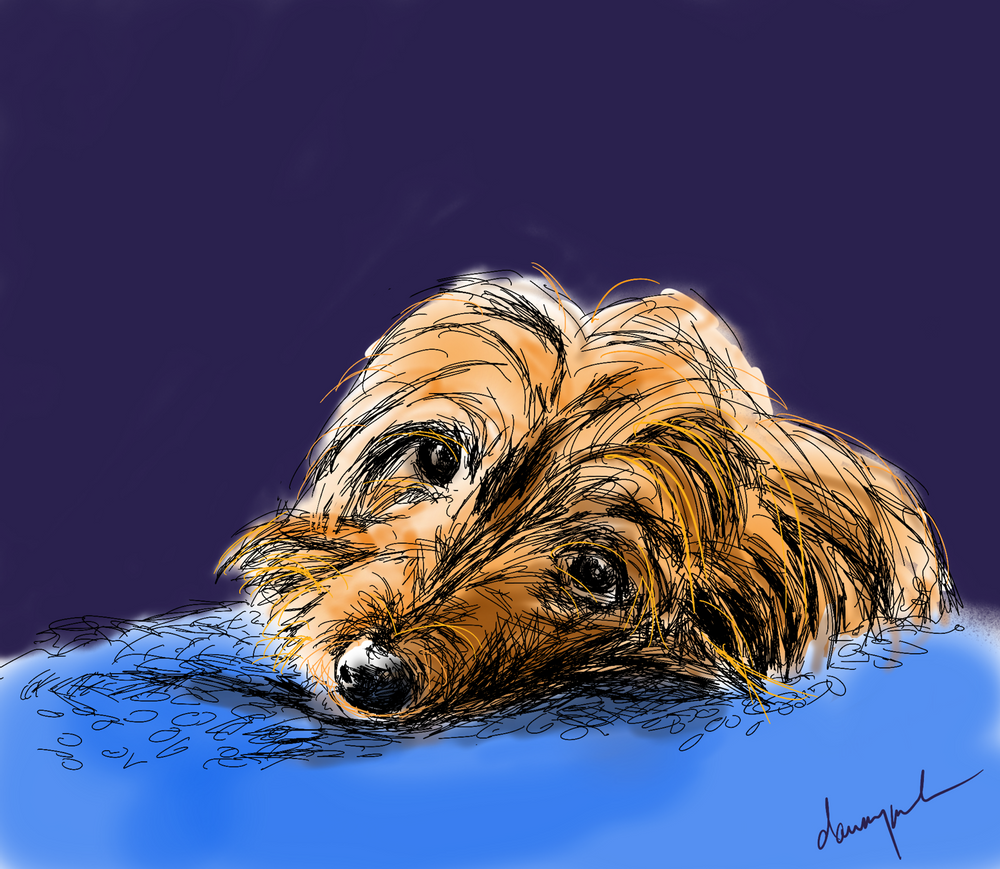 I’ve been drawing dogs…