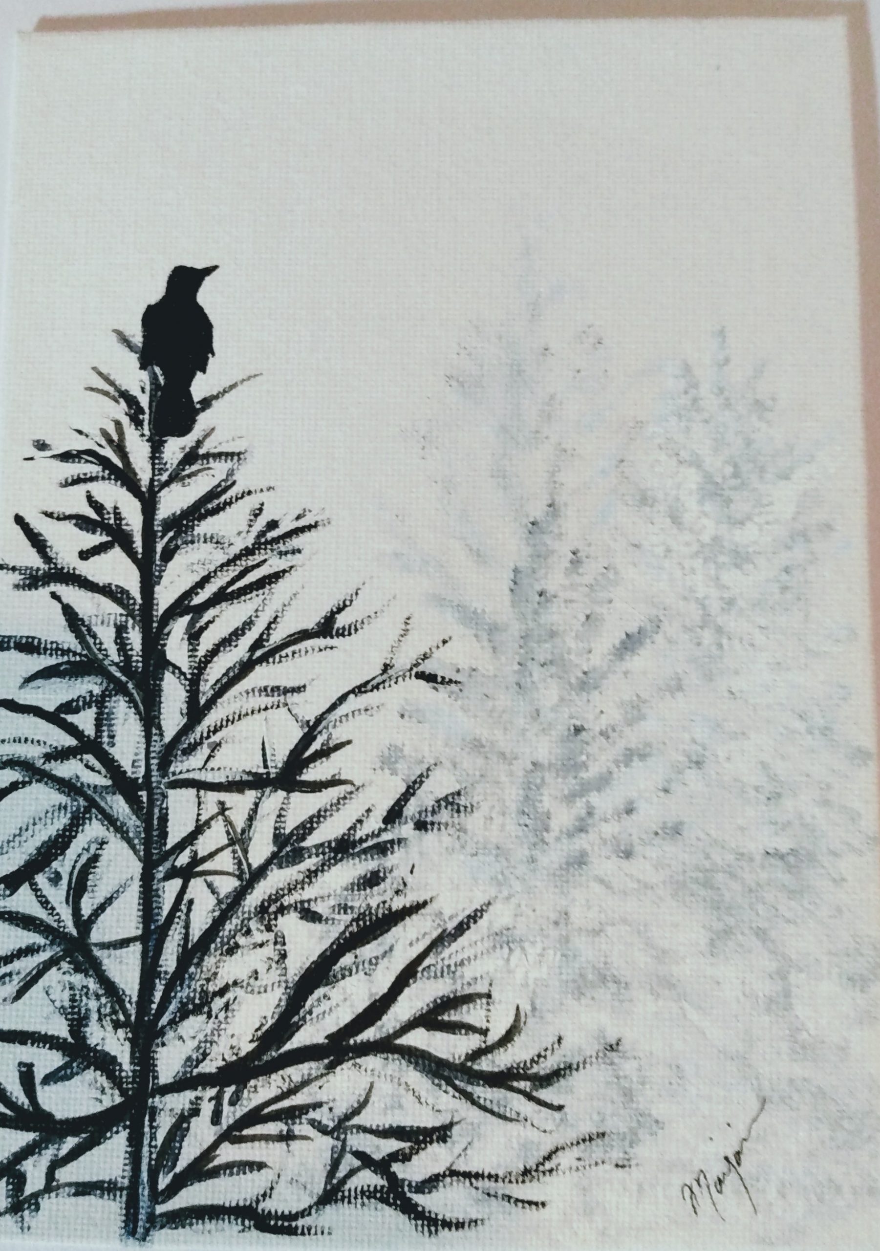Crow in tree