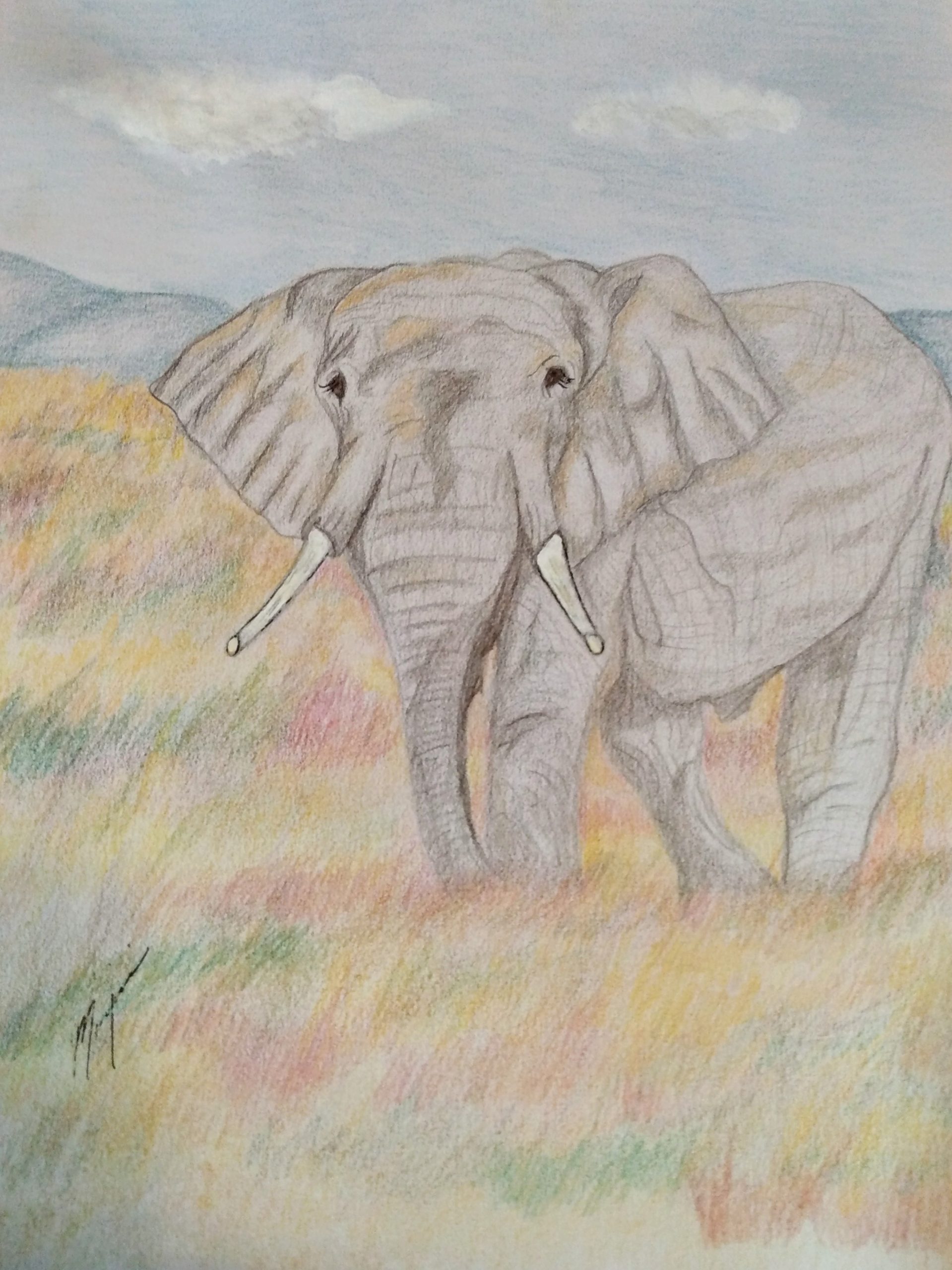 Elephant