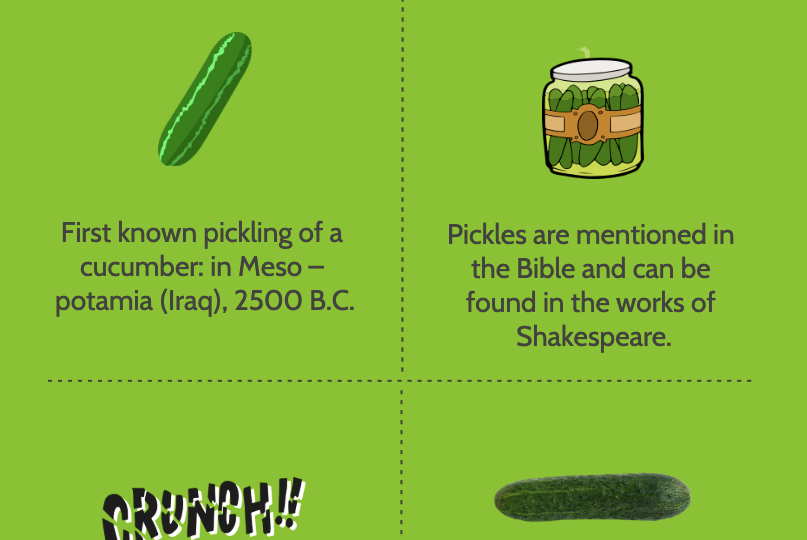 national-pickle-day-–-november-14