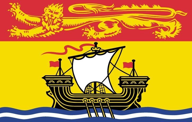 Bilingualism, Duality – and duplication