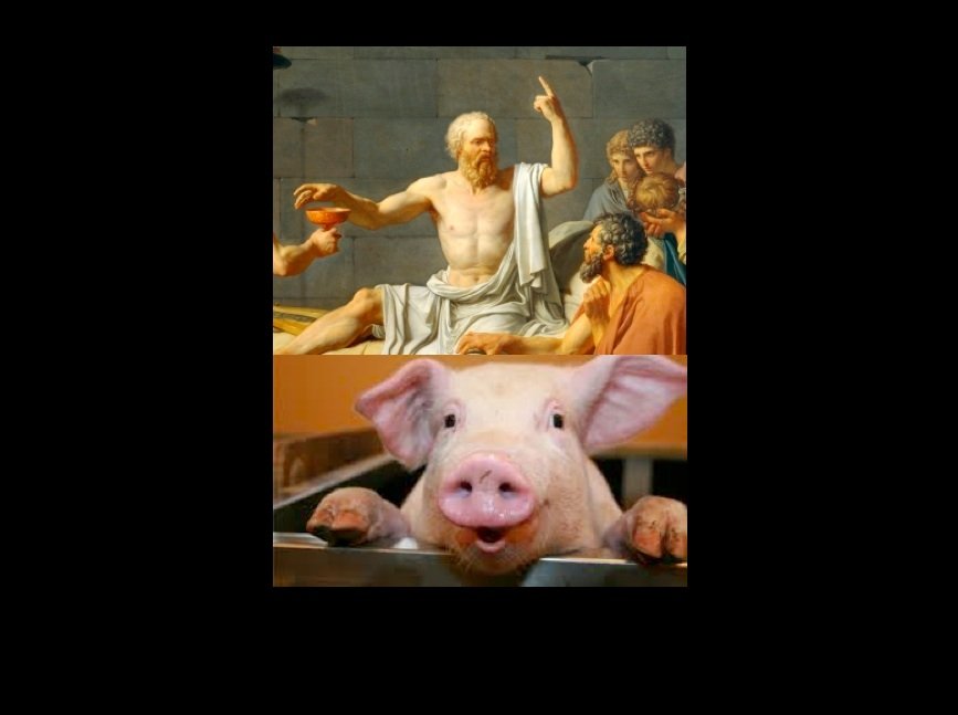 Socrates and the Pig