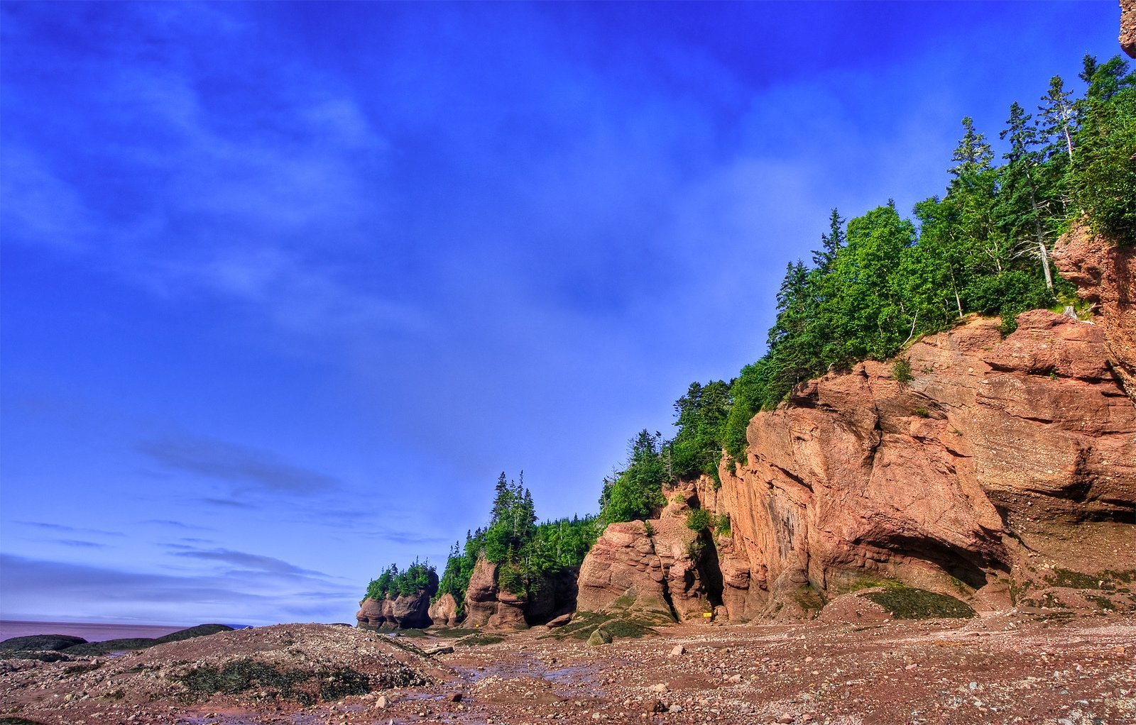 Top Five New Brunswick Hiking Trails You Won´t Want to Miss