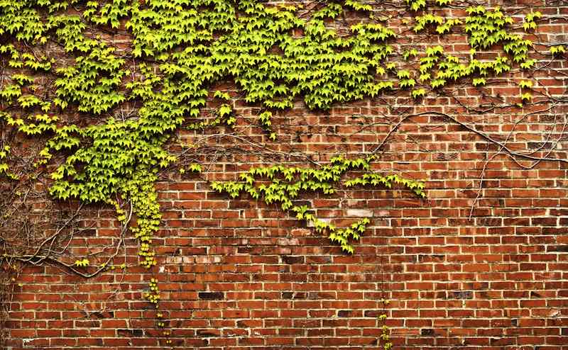 Change Part I: The Incremental Wall