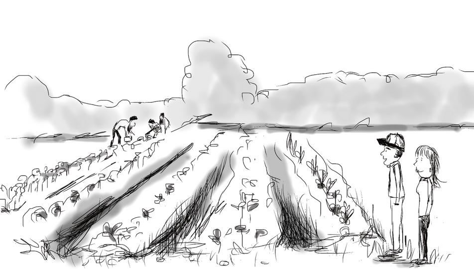 gardening-strategies….