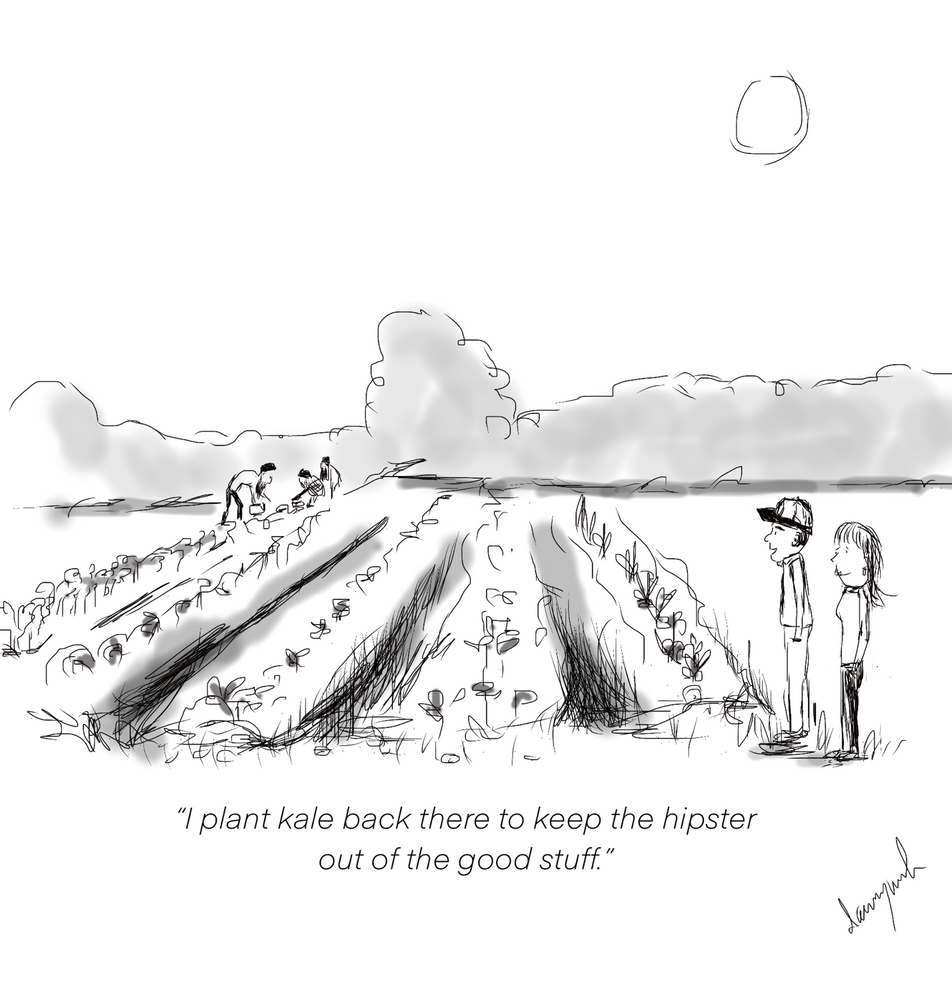 Gardening Strategies….