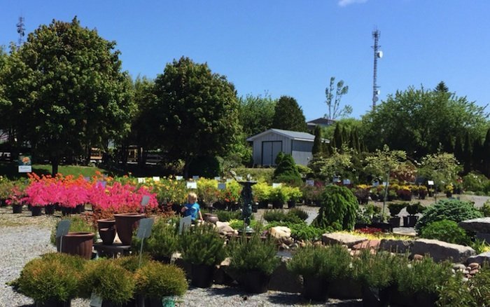 St. George Was All Out