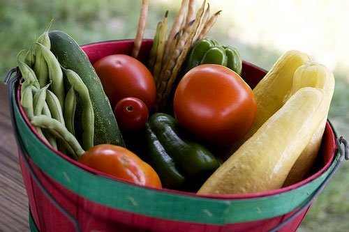 Happy World Vegetarian Day