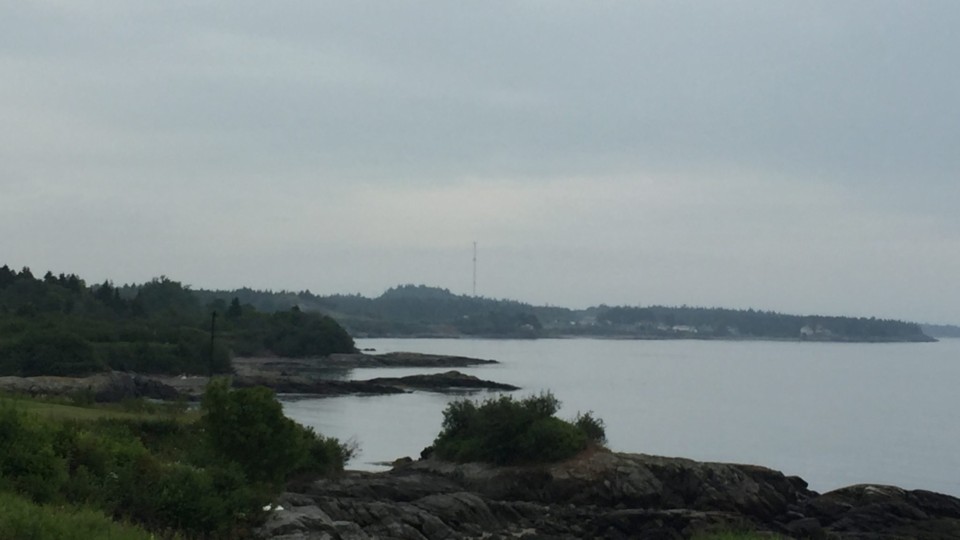 pocologan-in-the-rain