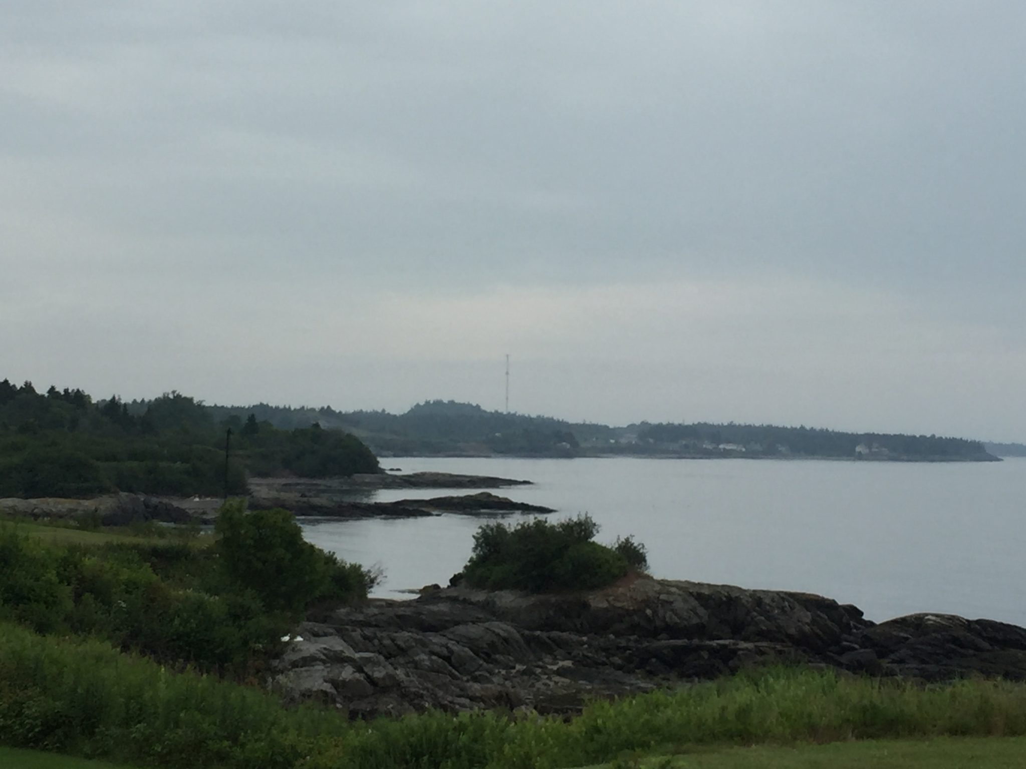 Pocologan in the Rain