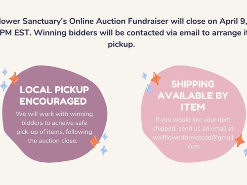 If you’ve been missing Vanity Fur this year, you can bid on a pet portrait sessi