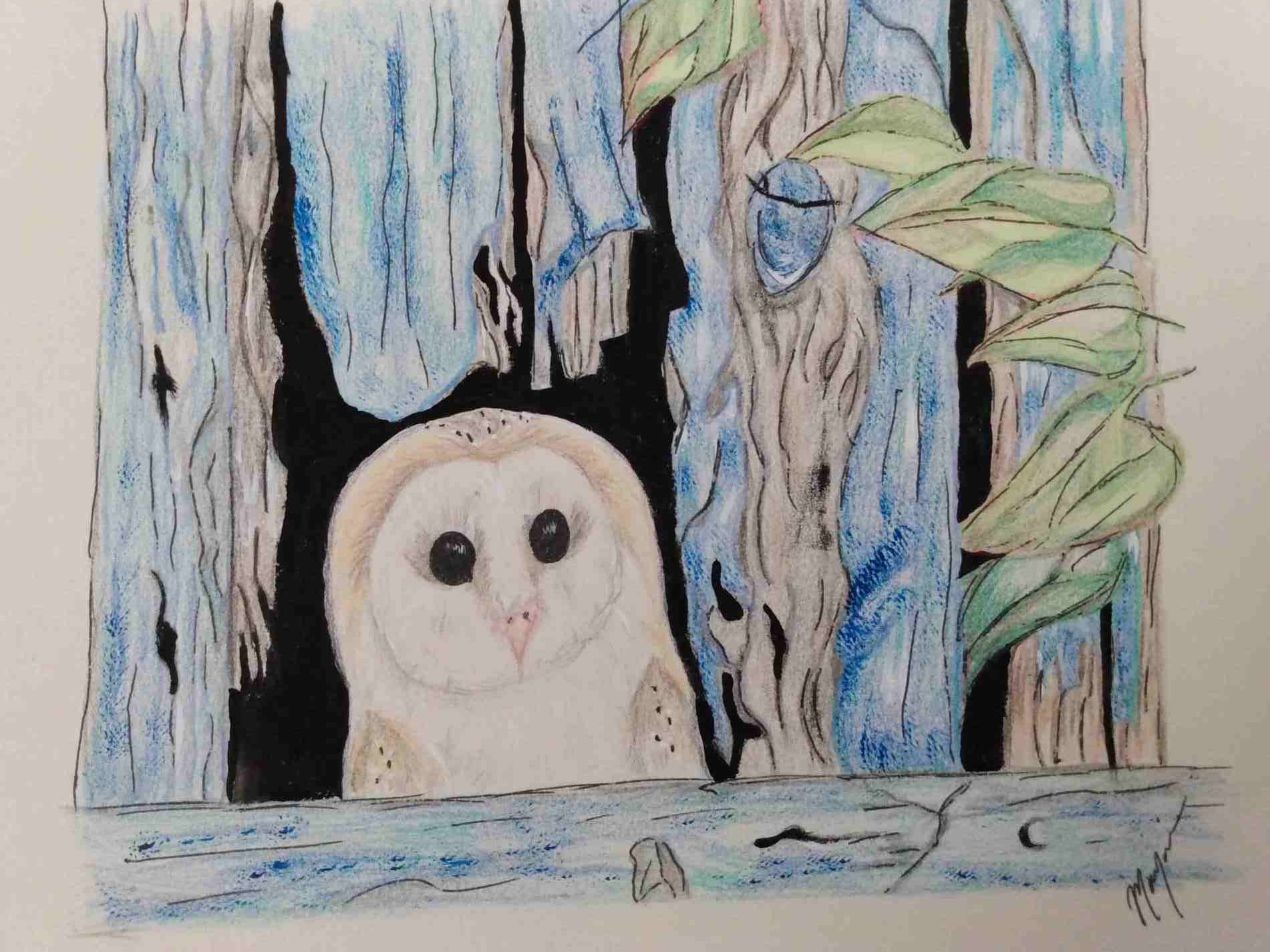 Owl