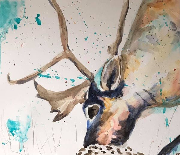 Got lost in a watercolour again today:)