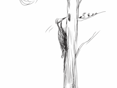 the-early-bird….