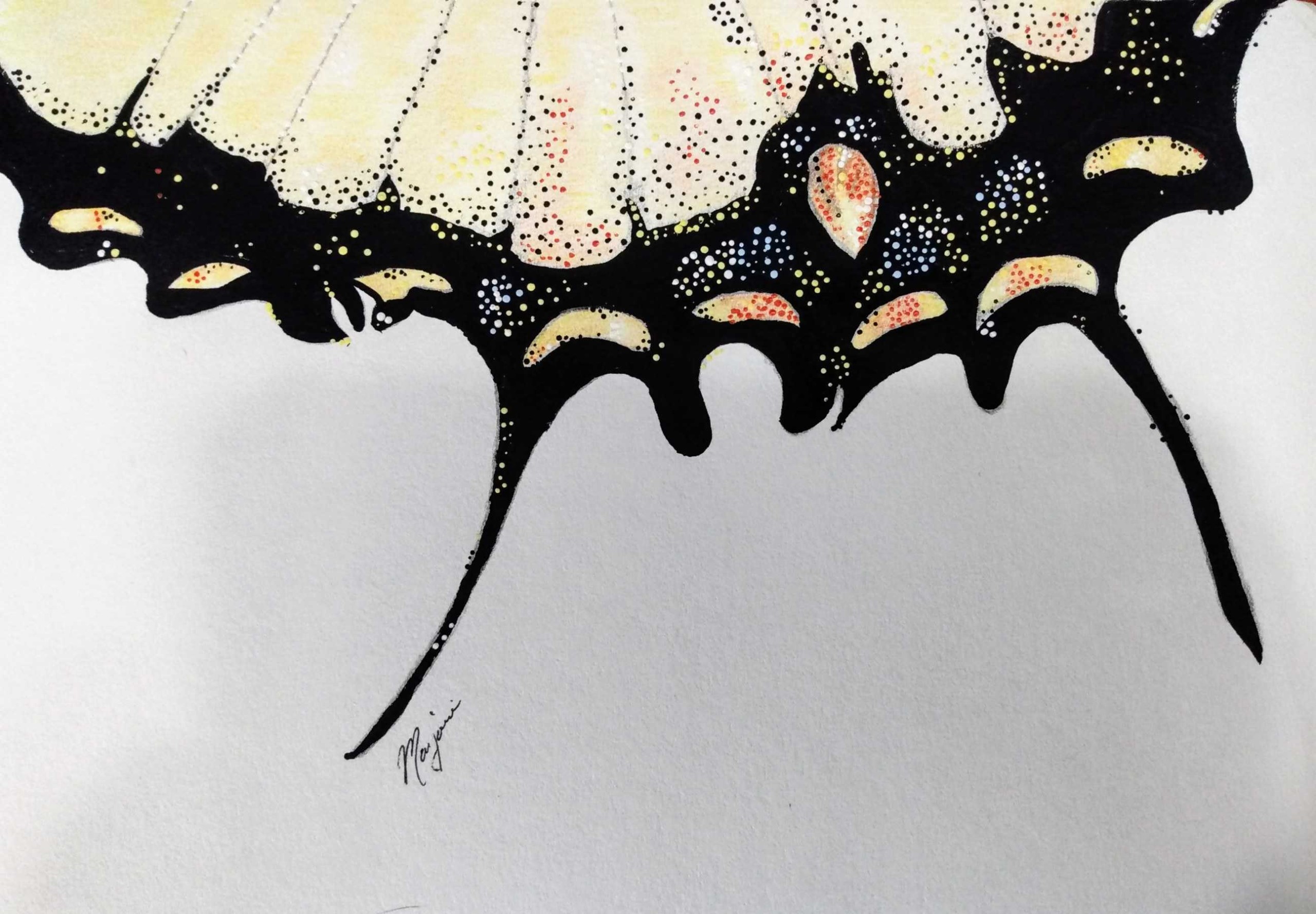 Part of a Swallowtail Butterfly