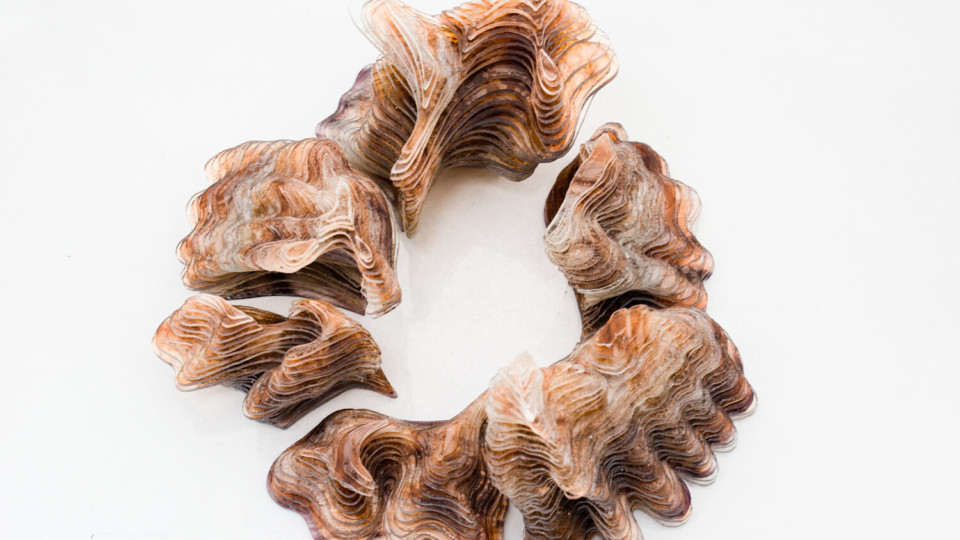 art-elevates:-fundy-national-park-|-victoria-macbeath