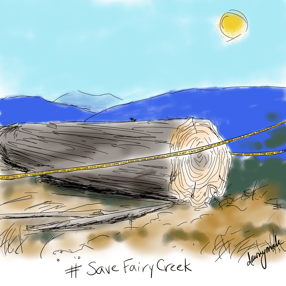 Save Fairy Creek