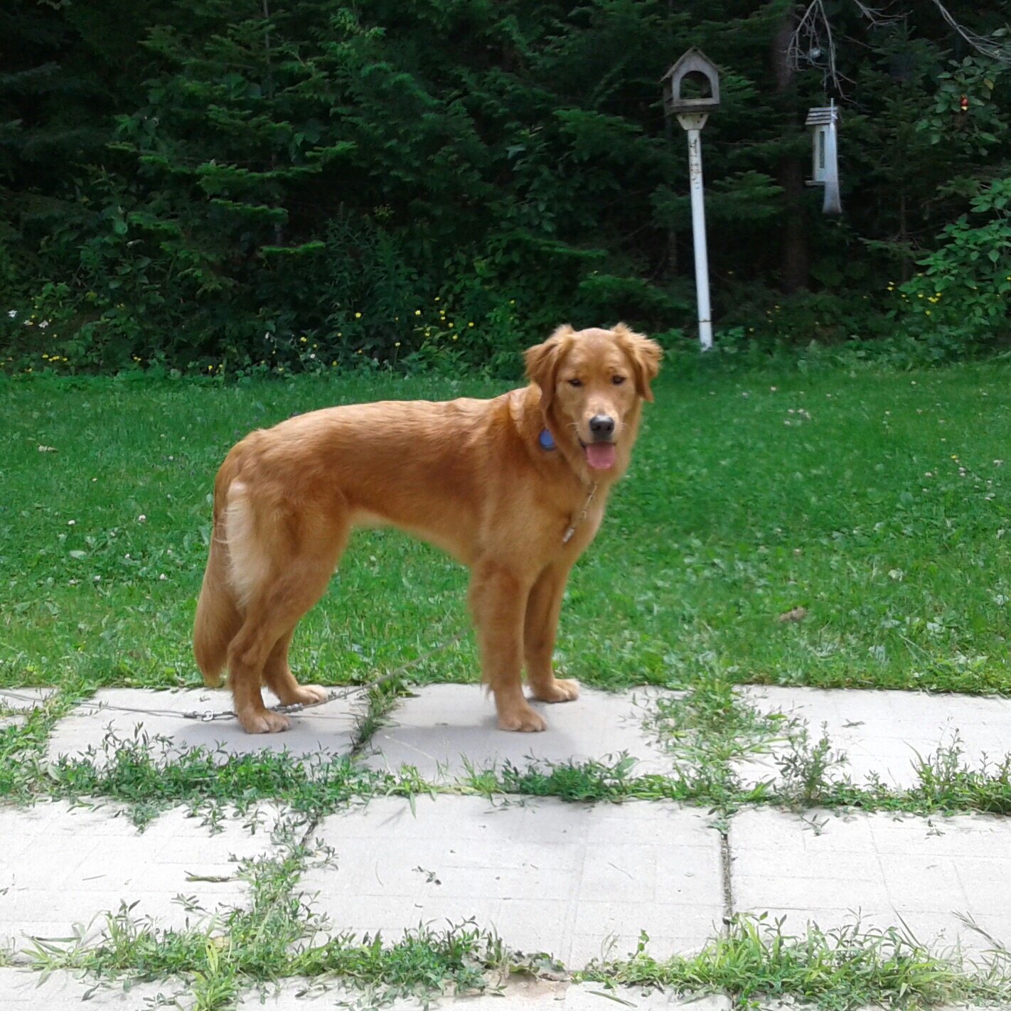 Meet the inspiration for our site’s name