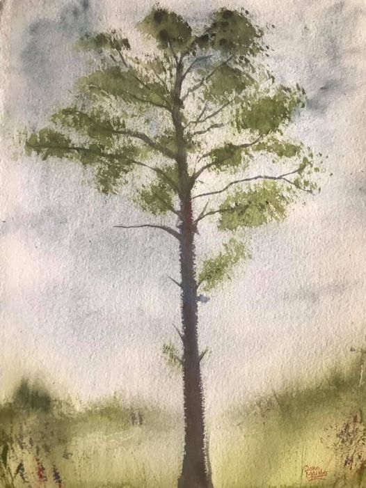 Gentle Giant, #watercolorpainting