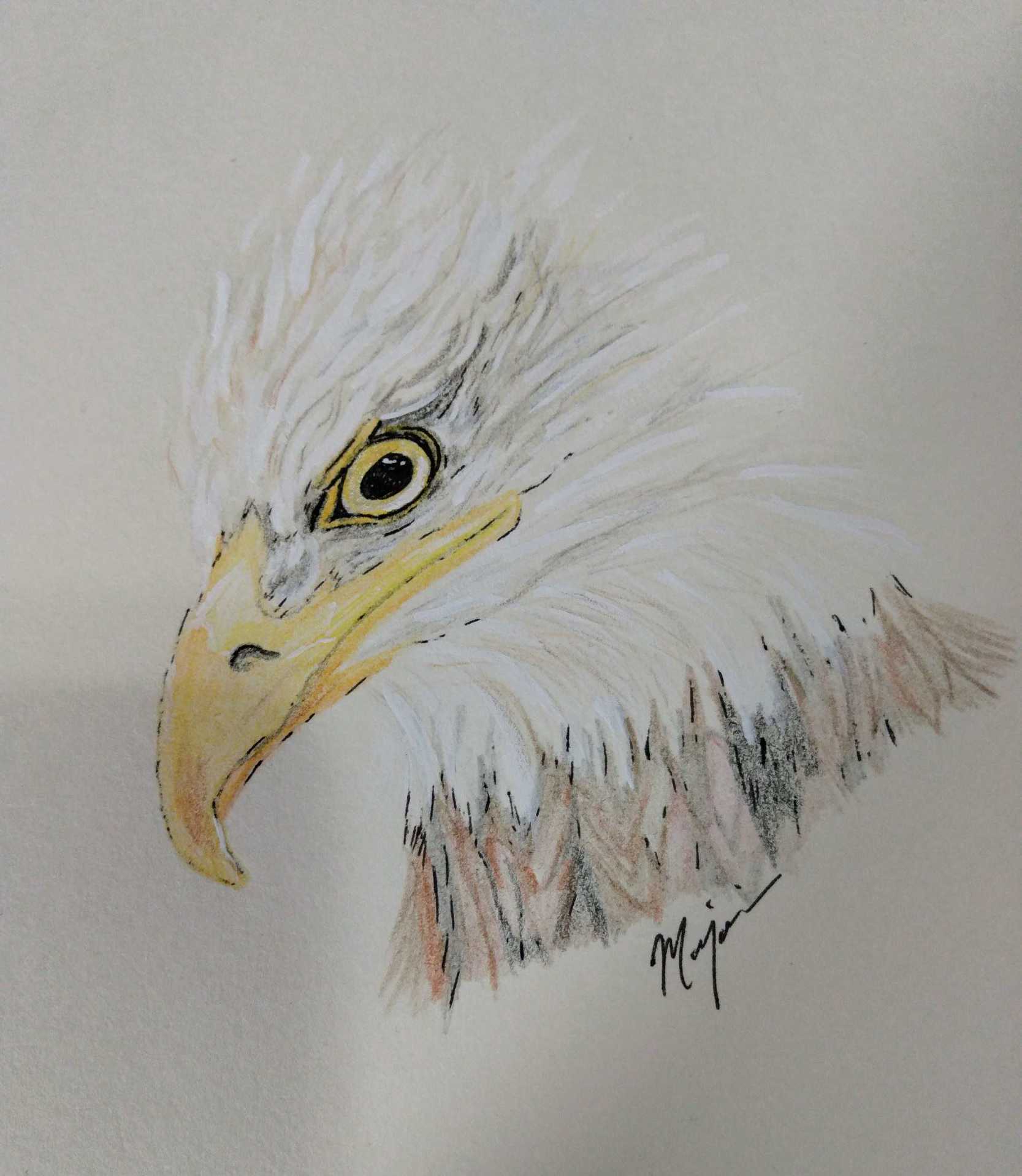 Eagle
