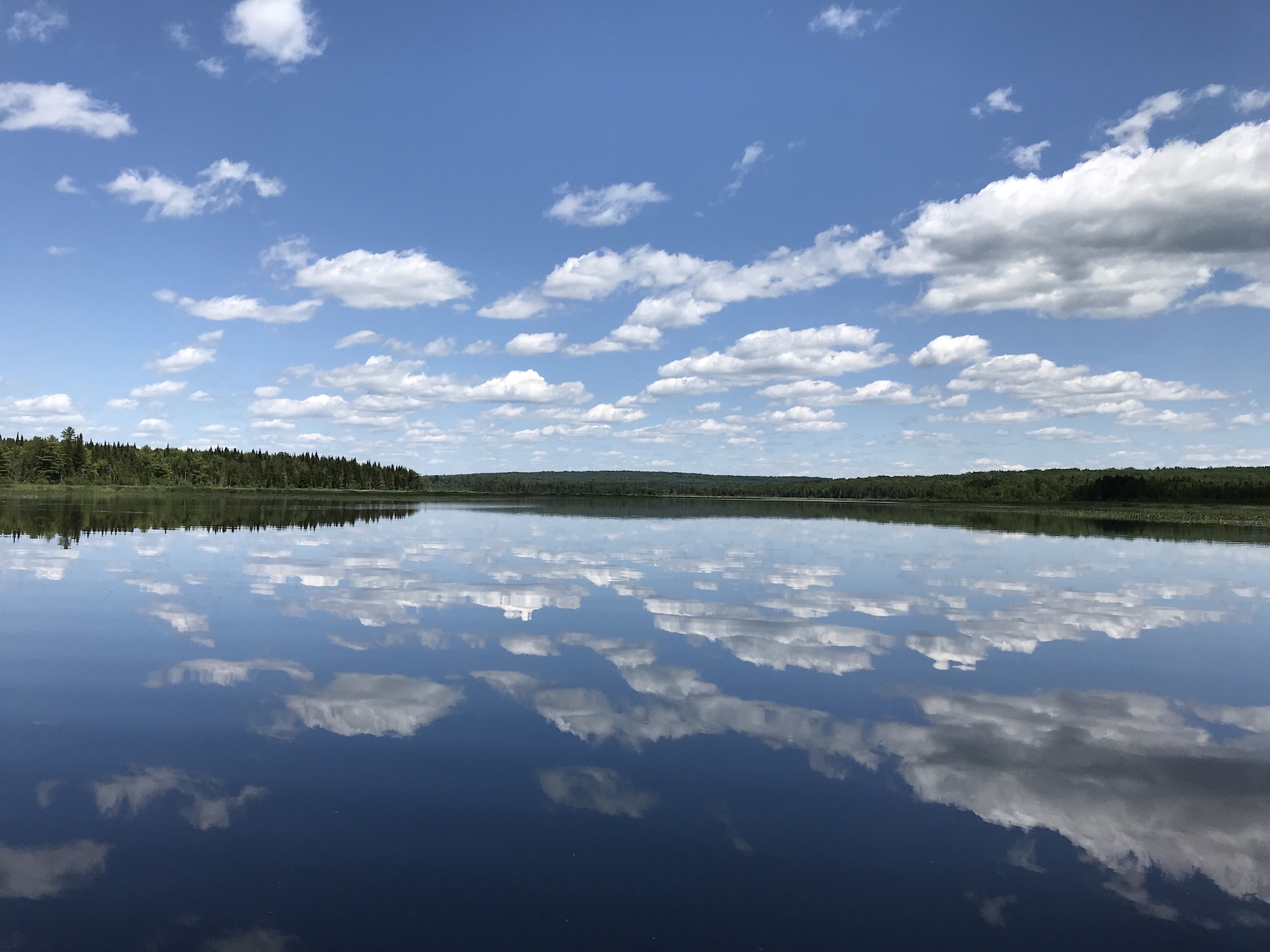 Shifting perceptions, changing horizons