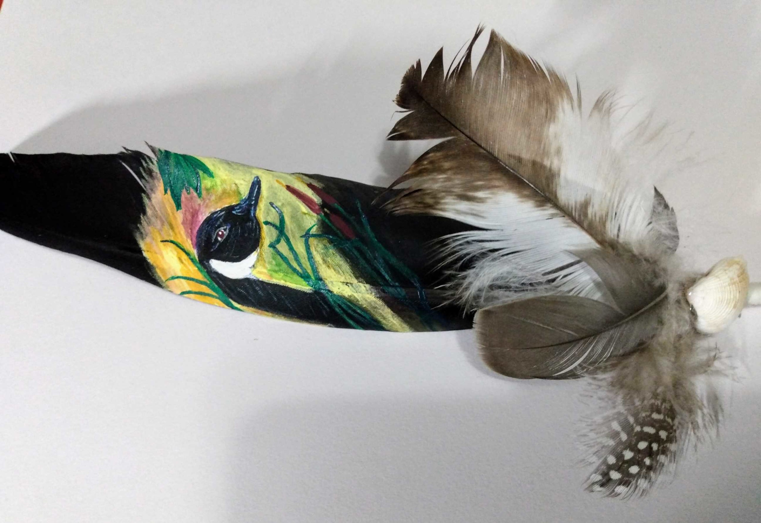Painted Feather