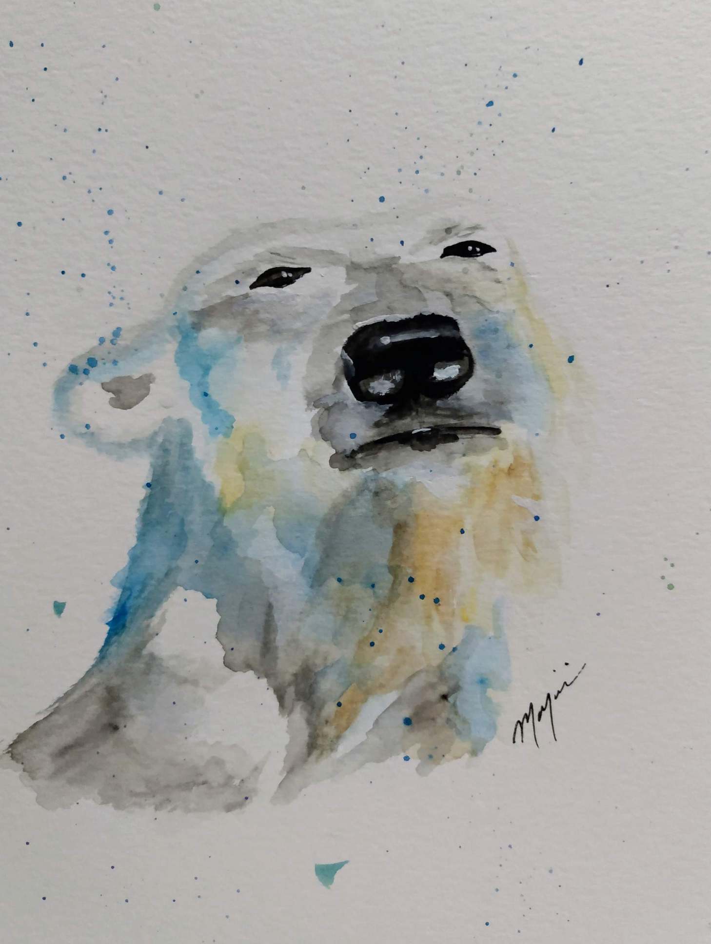 Polar Bear