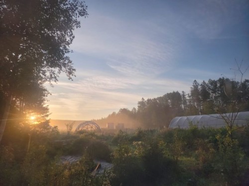 Mornings here on the praxis site, in the solar powered, woodfired house… are a