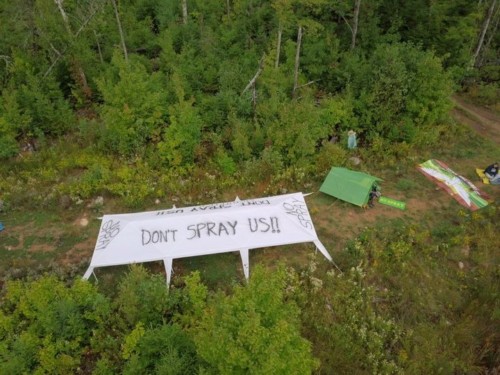 NB taking action to stop arial herbicide spraying which is quickening the clear