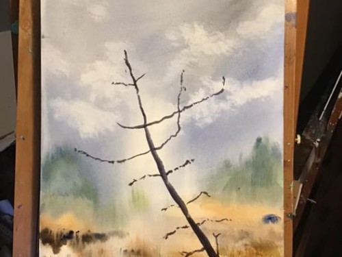 12×16” watercolour- photo taken today in Mactaquac, NB :)