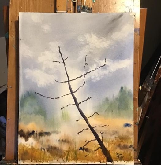 12×16” watercolour- photo taken today in Mactaquac, NB :)