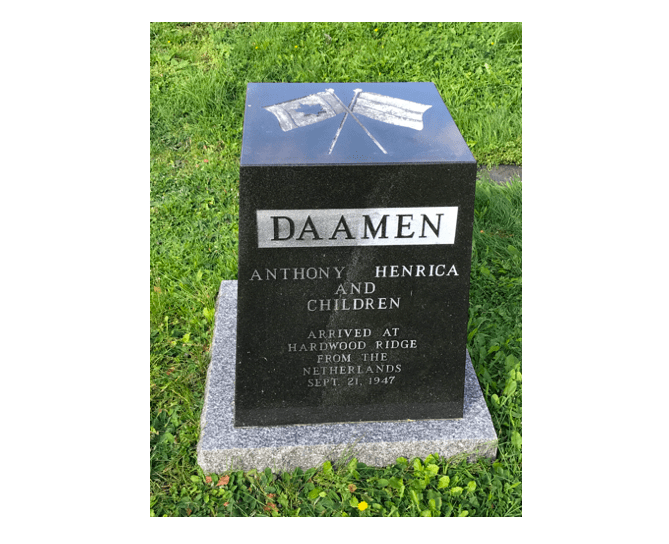 The day the Daamens came to Minto