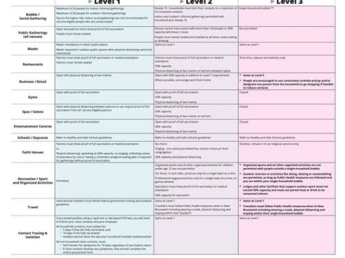 Level 3