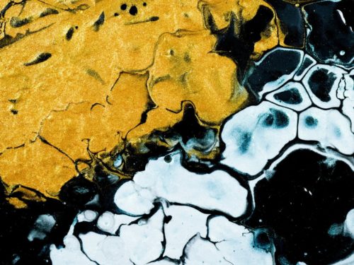 7-things-artists-and-art-lovers-need-to-know-about-artslink-nb