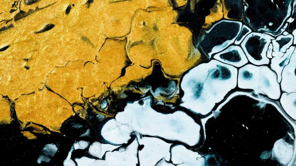 7-things-artists-and-art-lovers-need-to-know-about-artslink-nb