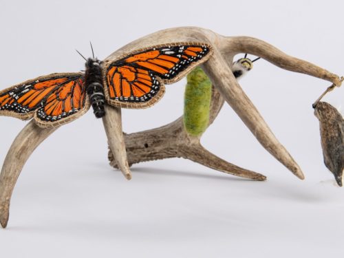 wettaqiaq-wksitqamuk-–-nkitahkomikumuwey-|-exploring-land-based-art-in-new-brunswick